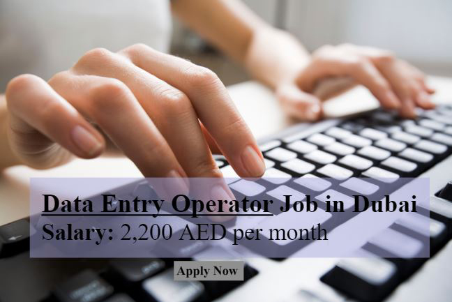 Data Entry Operator Job in Dubai